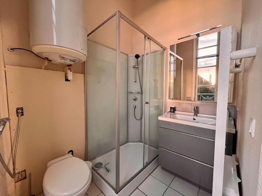 La Demeure De Margot - 24 Couchages Villa Villeneuve-sur-Yonne Eksteriør bilde
